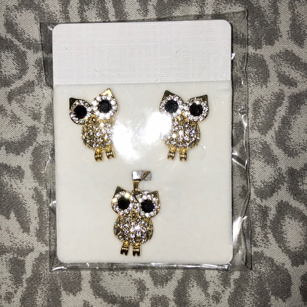 Owl necklace and earrings set